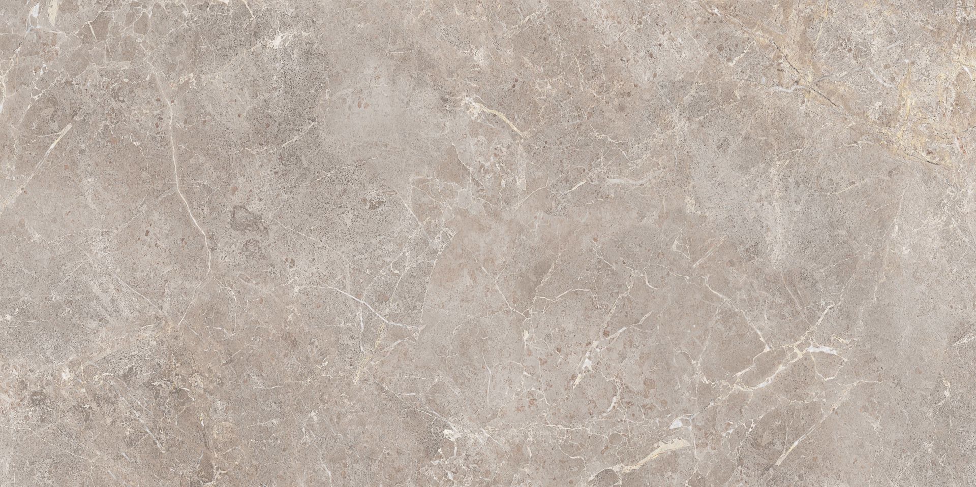 600X1200 FIORDI BOSCO GREJ TAM PARLAK REK. K:8