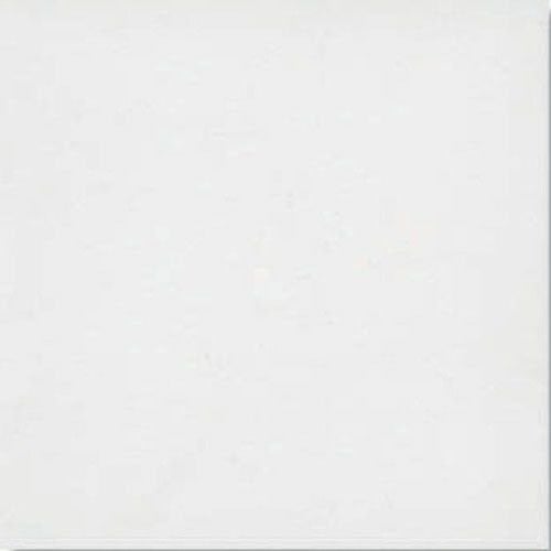 100X100 ALASKA PARLAK BEYAZ K:7.5