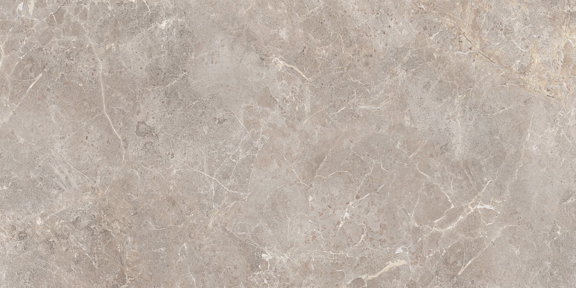 600X1200 FIORDI BOSCO GREJ TAM PARLAK REK. K:8 - Numune