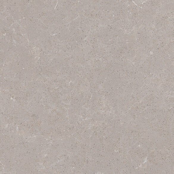 330X330 TIBETSTONE GRI ASN R10 - Numune