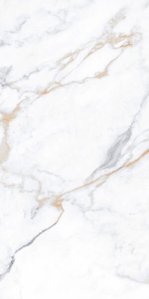 600X600 ELEGANCE MARBLE WHITE GOLD GLOSSY K:8.5 - Numune
