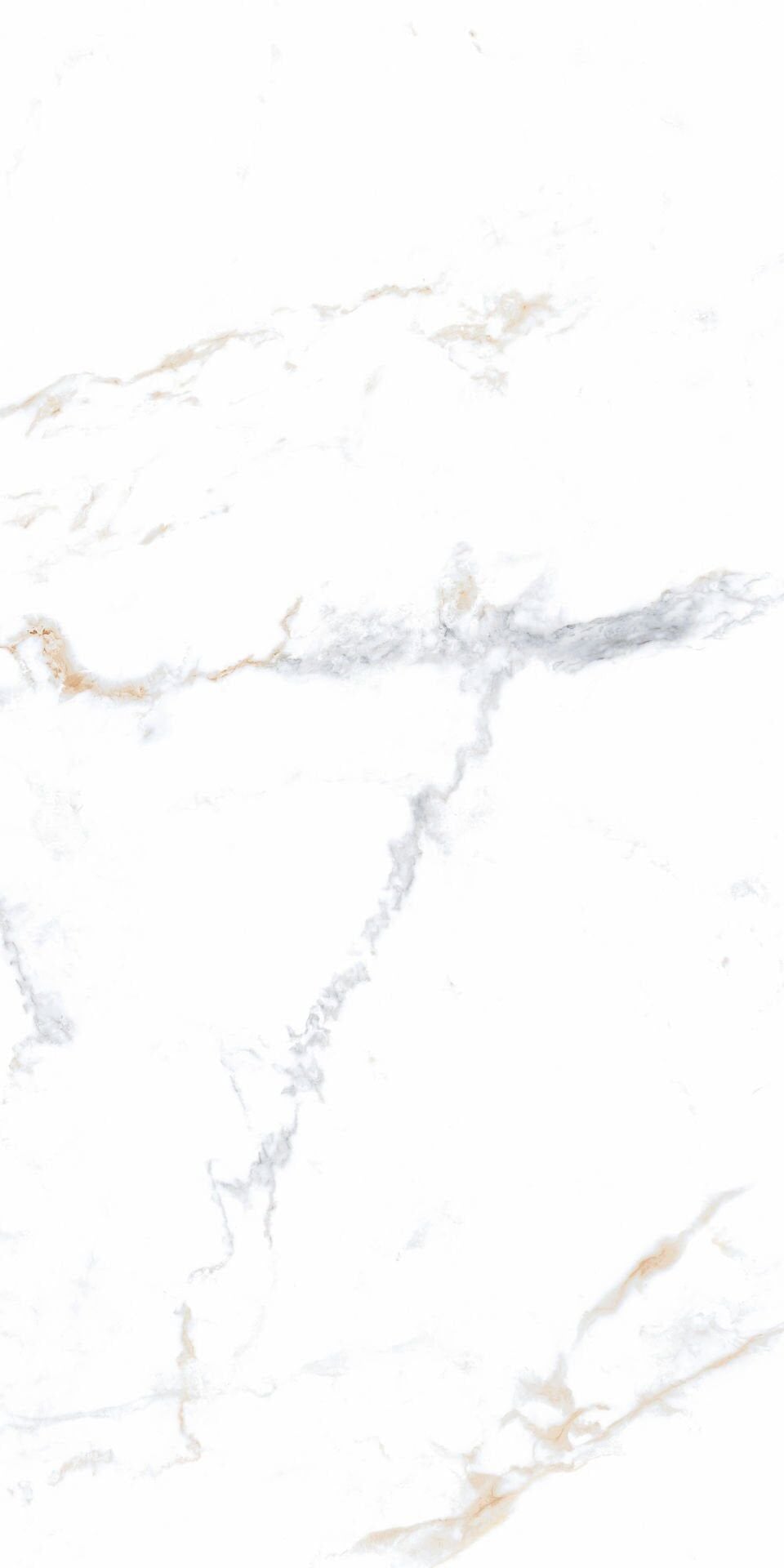 600X600 ELEGANCE MARBLE WHITE GOLD GLOSSY K:8.5 - Numune