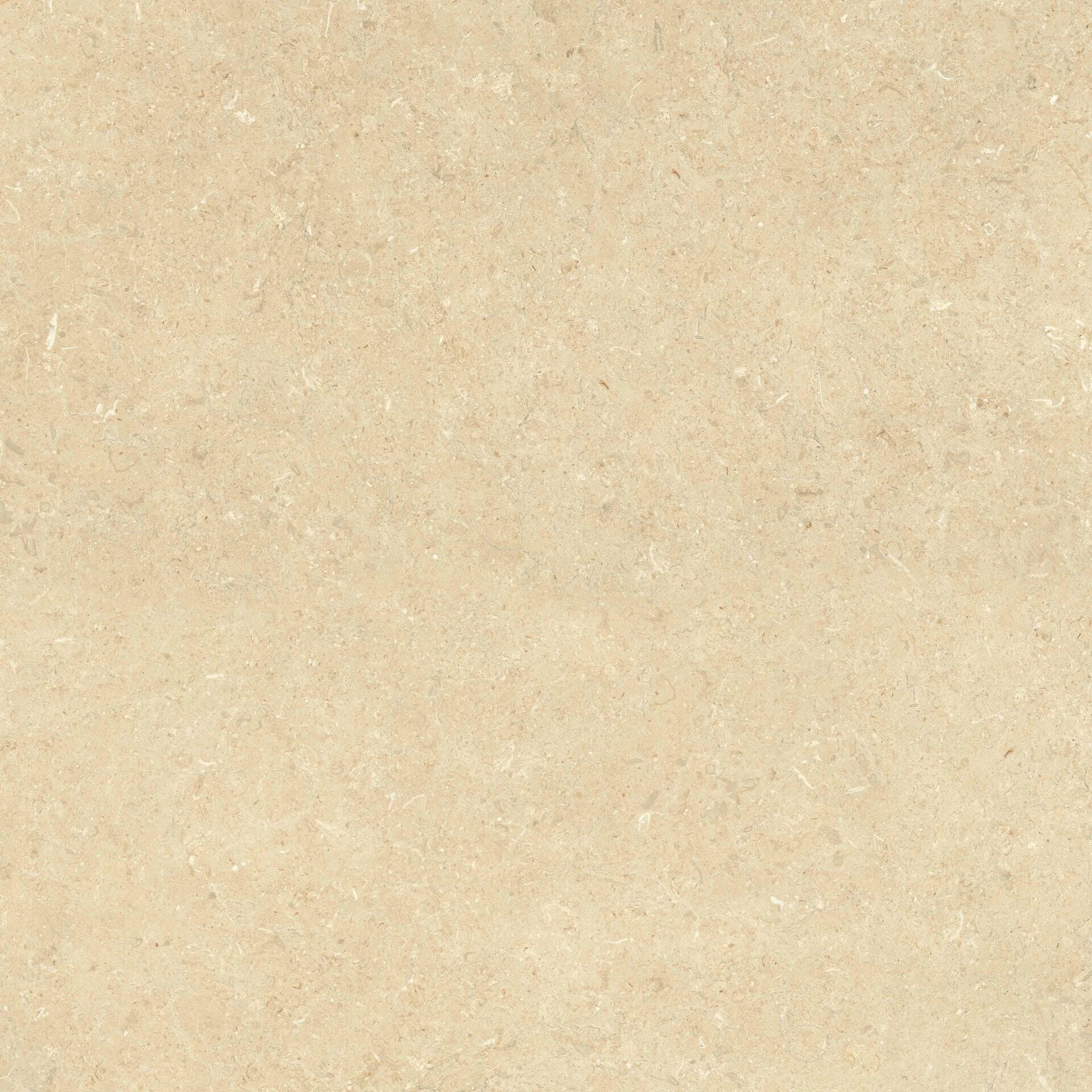 800X800 URLA BEJ - Numune