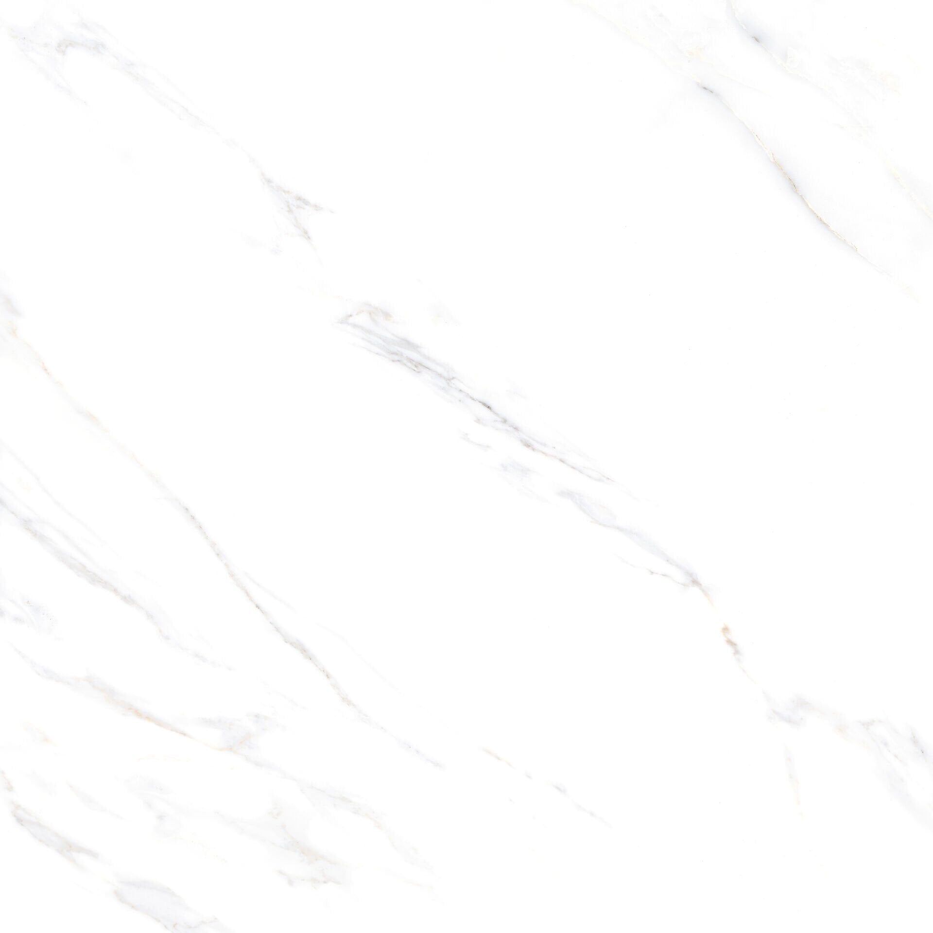 450X450 CALACATTA MAT BEYAZ K:8 - Numune