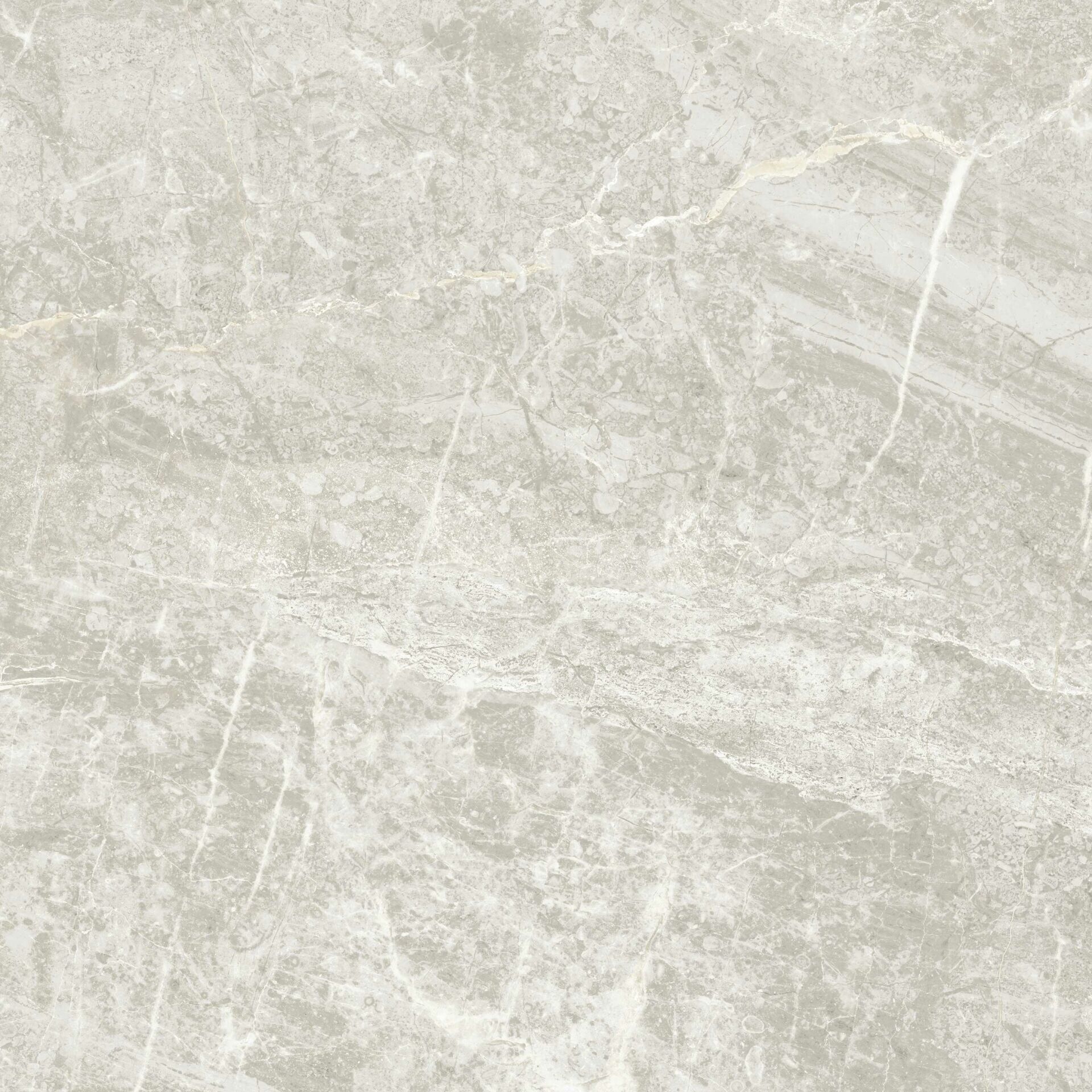 400X400 ARDEN FILDISI K:8 - Numune