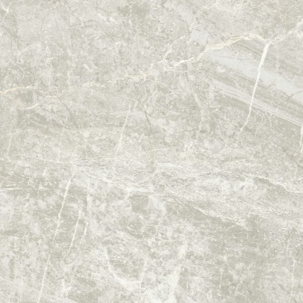 400X400 ARDEN FILDISI K:8 - Numune