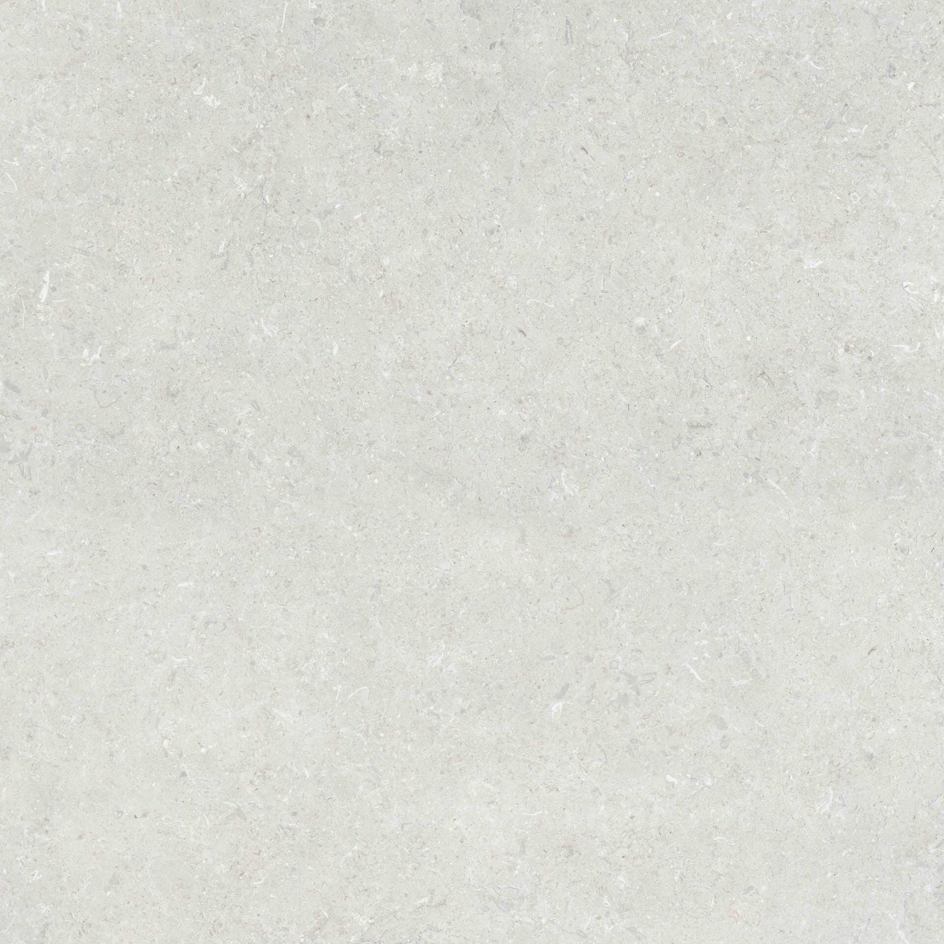 800X800 URLA ACIK GRI REKTIFIYE - Numune