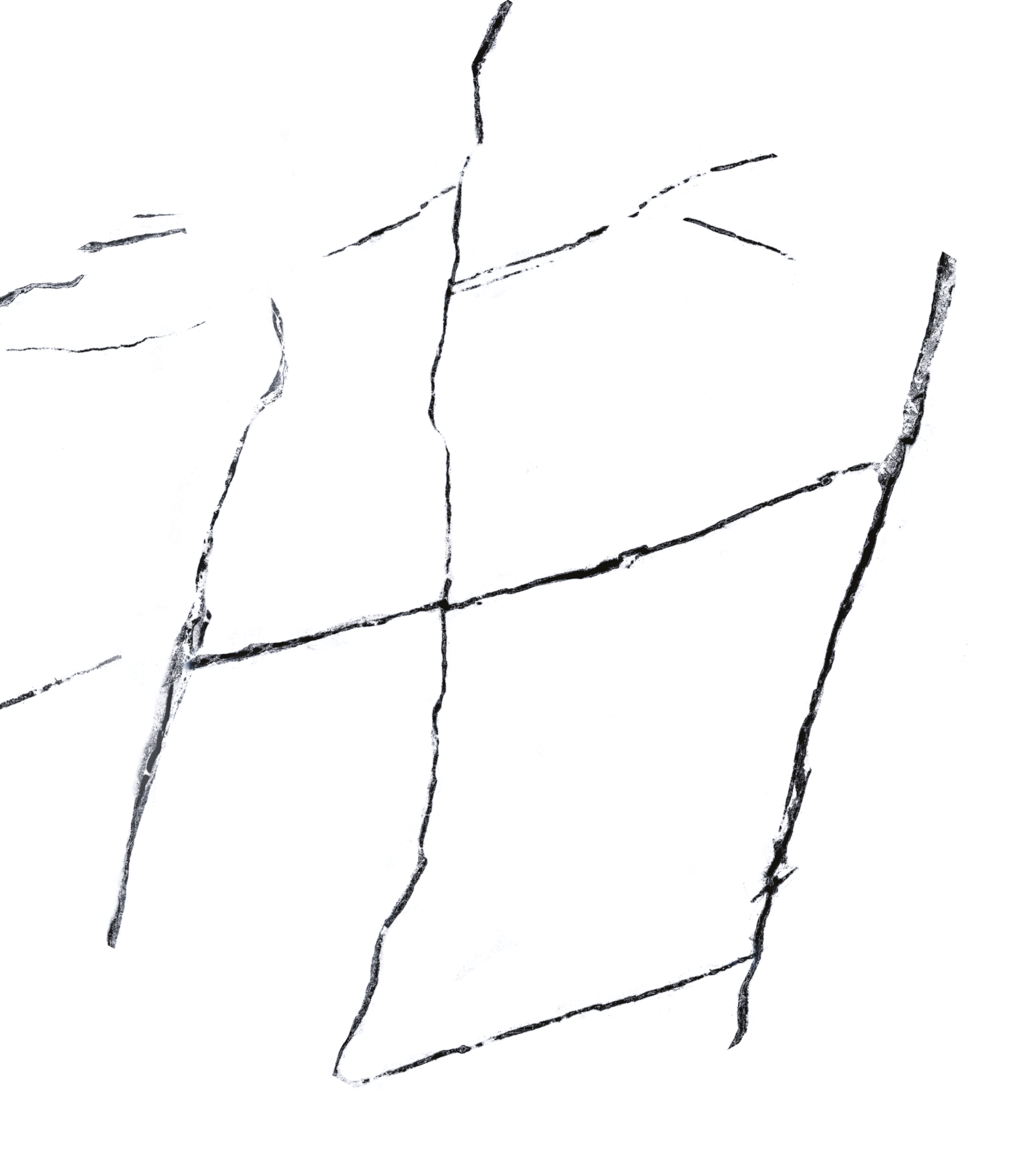 435X503 VISUM WHITE K:9 - Numune