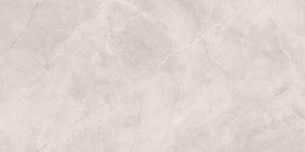 300X600 SANTIAGO GRI TAM PARLAK REK. K:8 - Numune