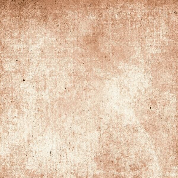 200X200 ROBINIA COTTO - Numune