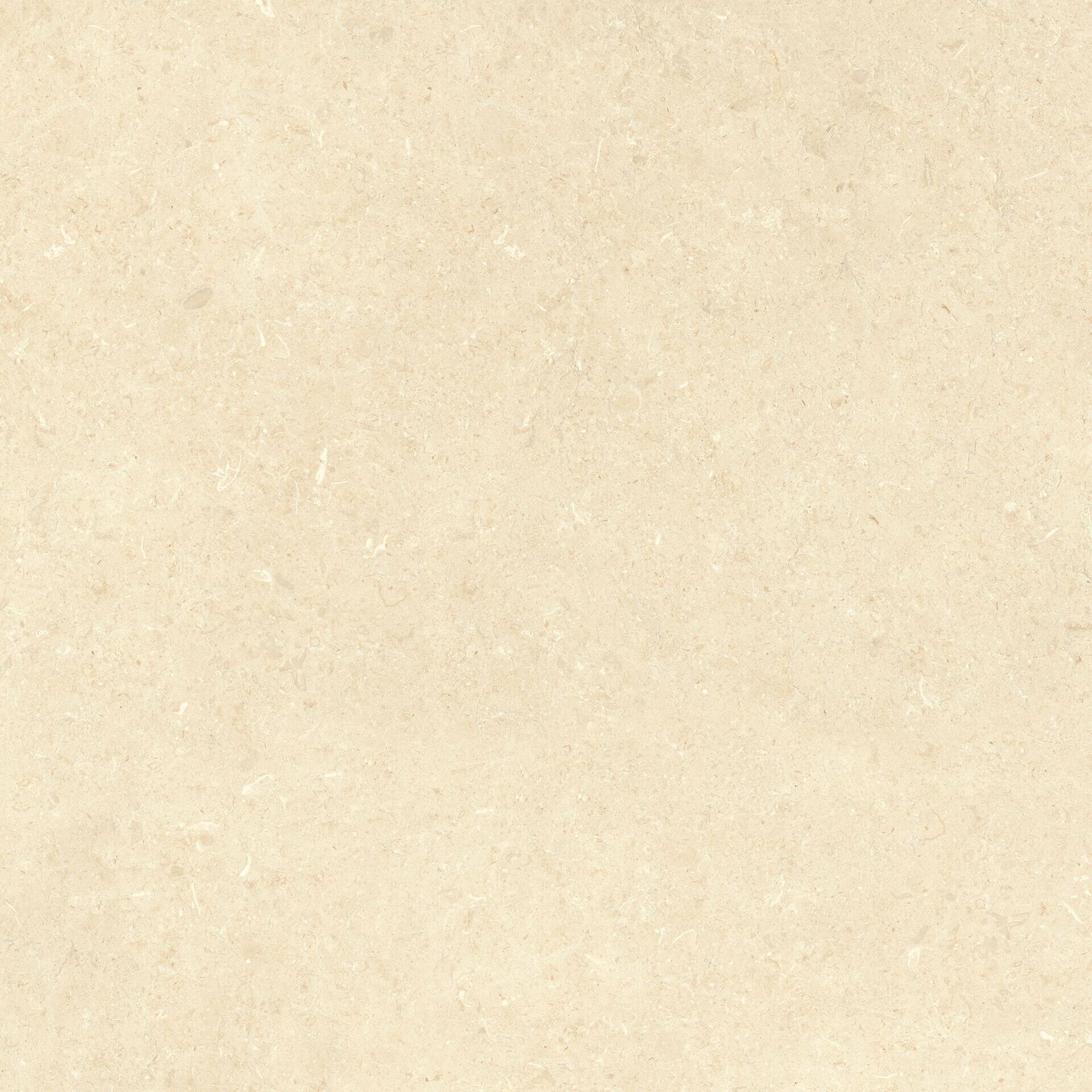 800X800 URLA KEMIK - Numune