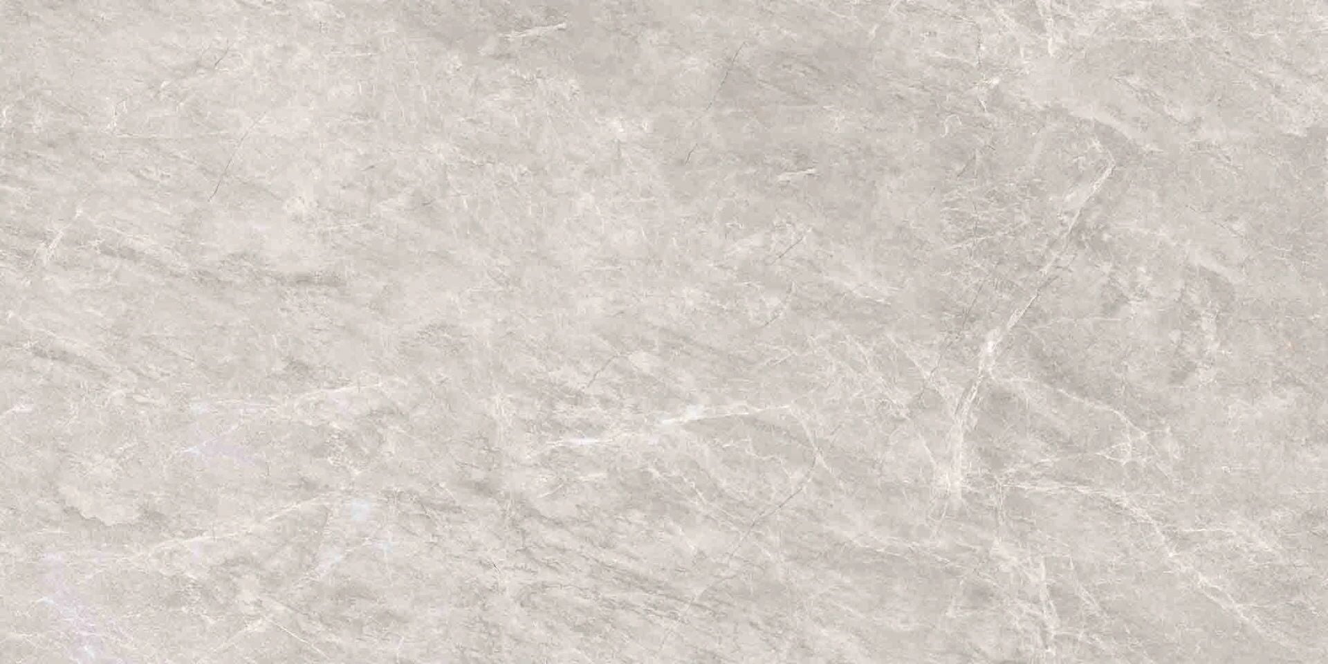 600X1200 SALOME GRI TAM PARLAK REK. K:8 - Numune