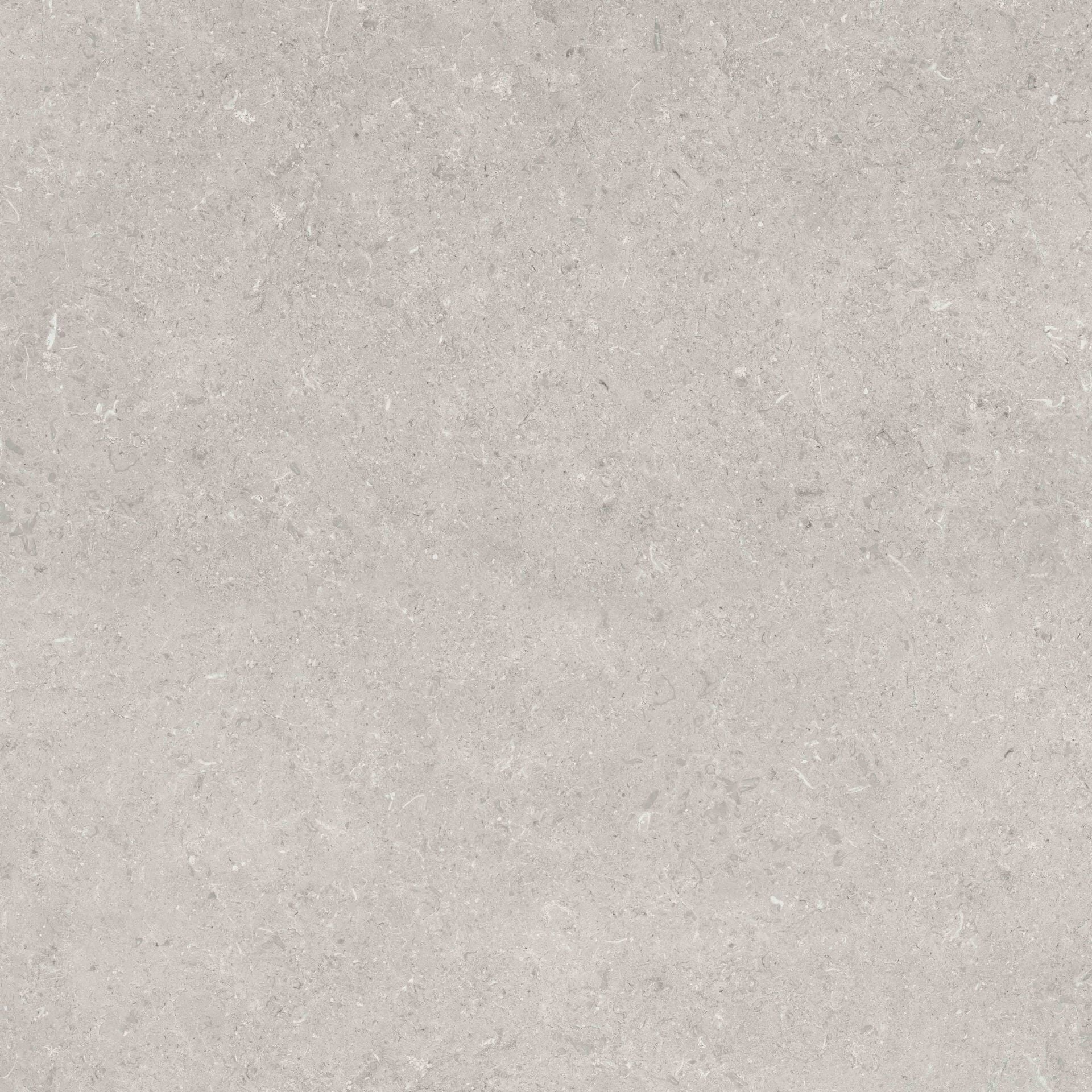 800X800 URLA GRI LAPPATO REKTIFIYE - Numune