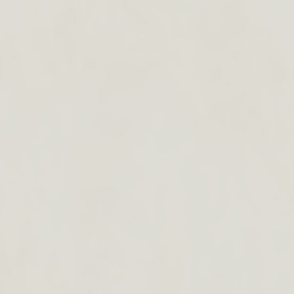 300X600 PRO TECH FILDISI REKTIFIYE - Numune