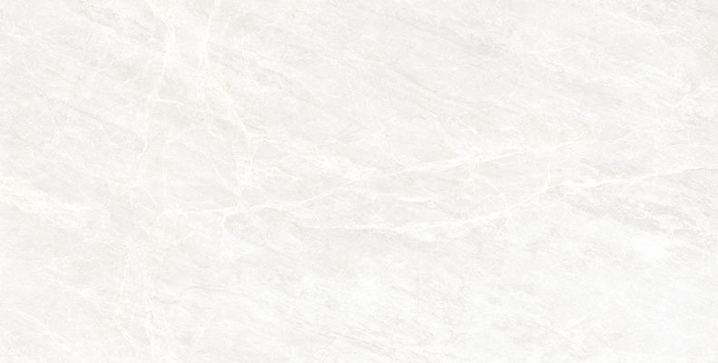 600X1200 SALOME FILDISI TAM PARLAK REK. K:8