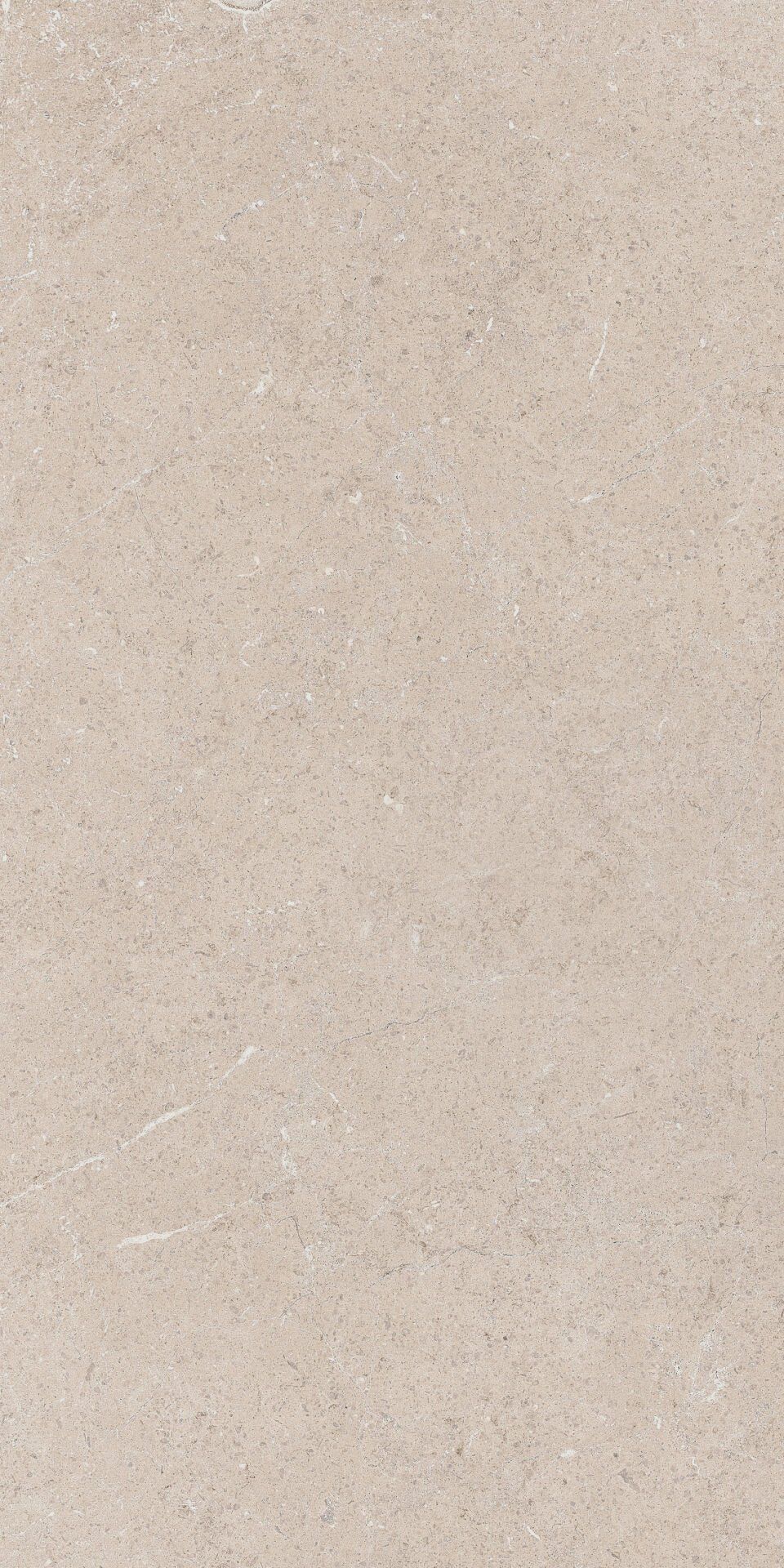 200X500 MADISON BEJ - Numune