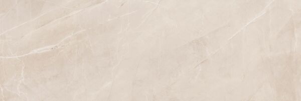 330X990 SANTIAGO FILDISI REKTIFIYE K:9 - Numune