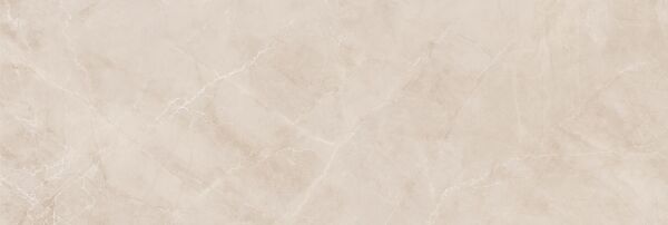 330X990 SANTIAGO FILDISI REKTIFIYE K:9 - Numune