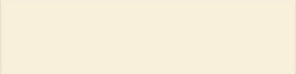 100X400 PARLAK BADEM K:9