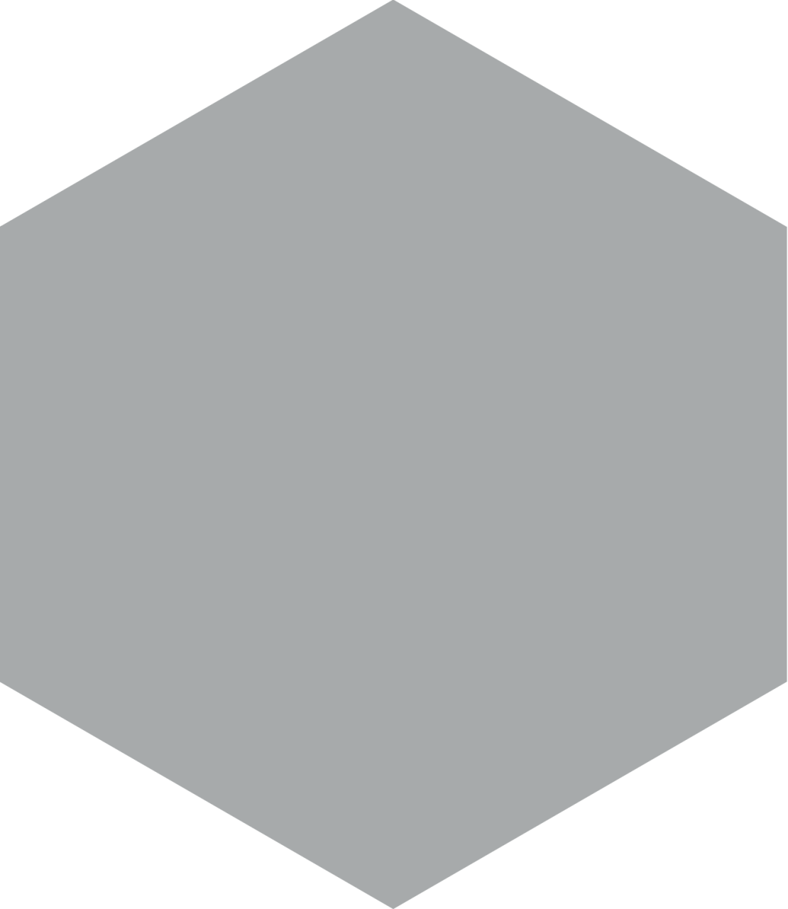 230X265 APINI GRI K:10 - Numune