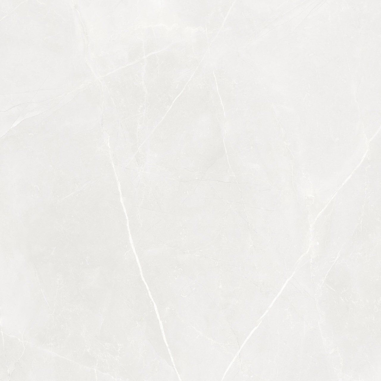 800X800 BELINDA BEYAZ REKTIFIYE - Numune