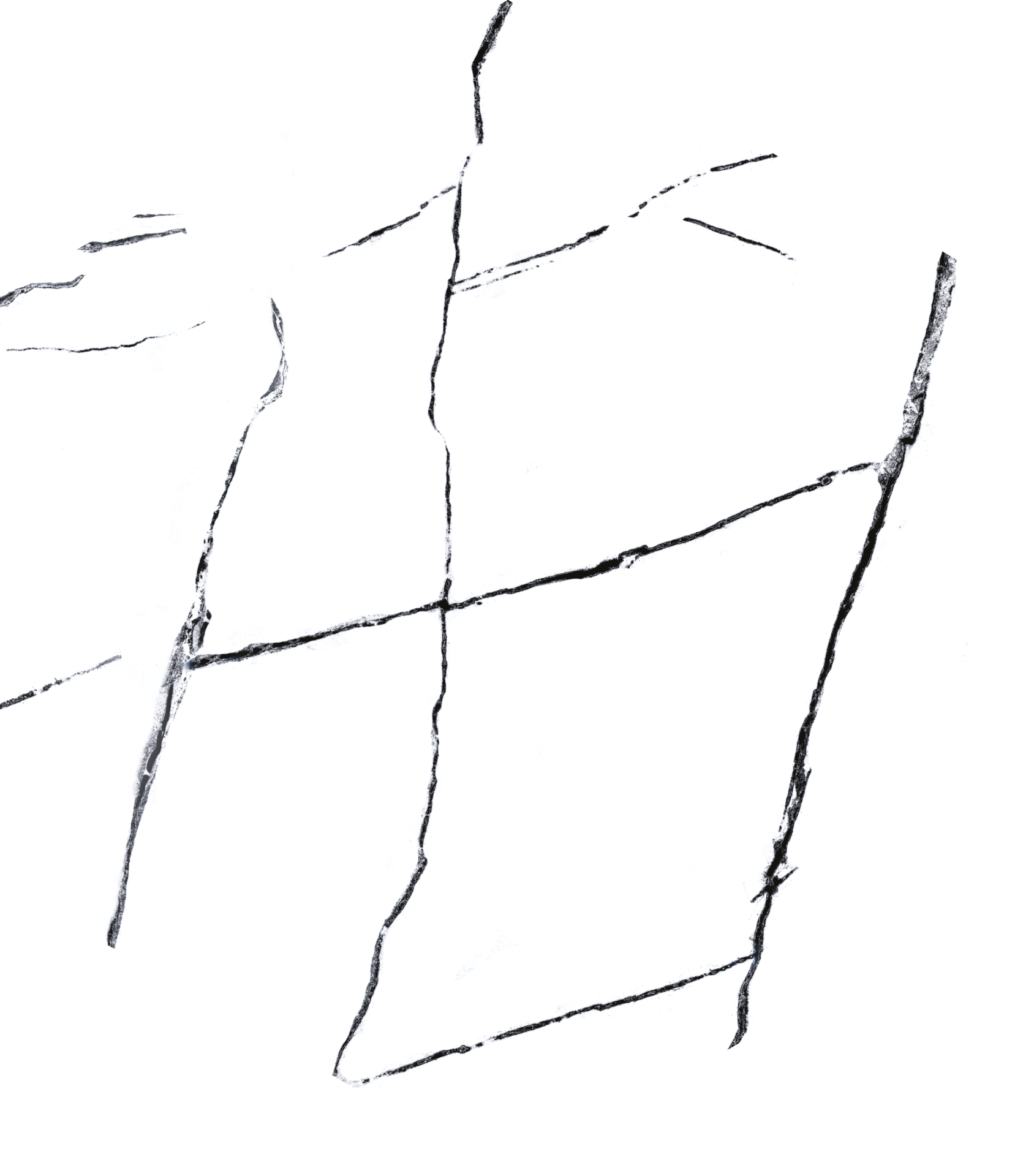 435X503 VISUM WHITE K:9