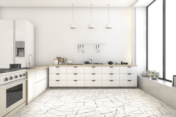 435X503 VISUM WHITE K:9