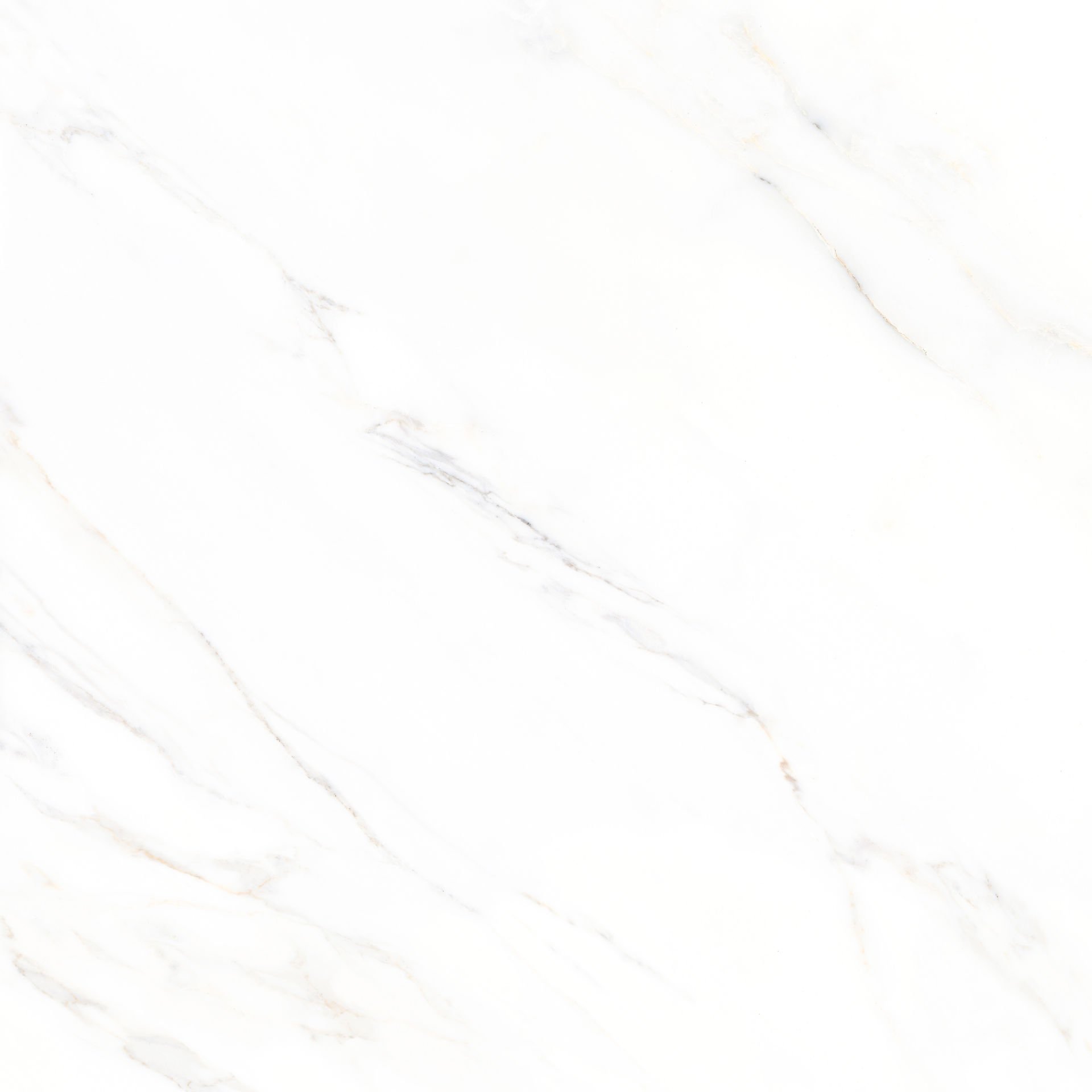 600X600 CALACATTA PARLAK BEYAZ K:8