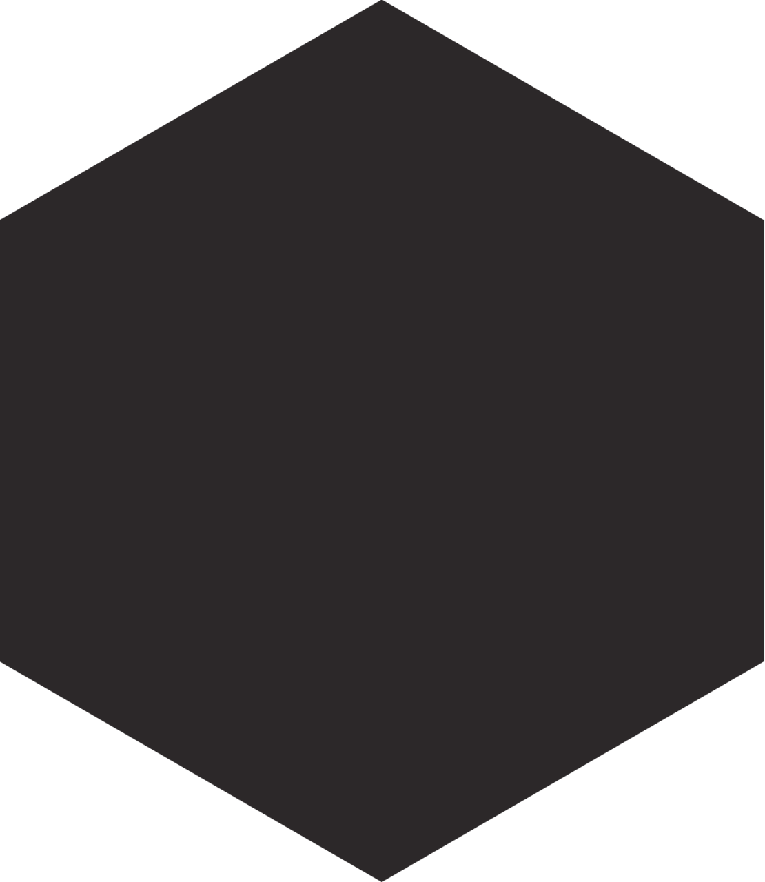 230X265 APINI SIYAH K:10 - Numune