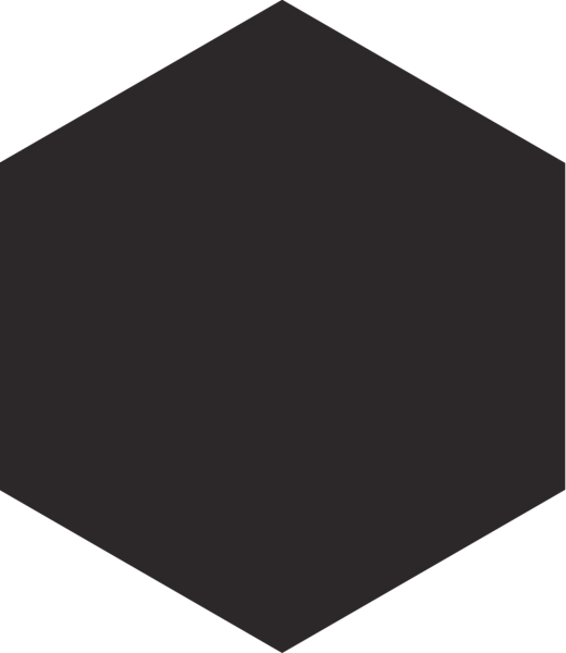 230X265 APINI SIYAH K:10 - Numune