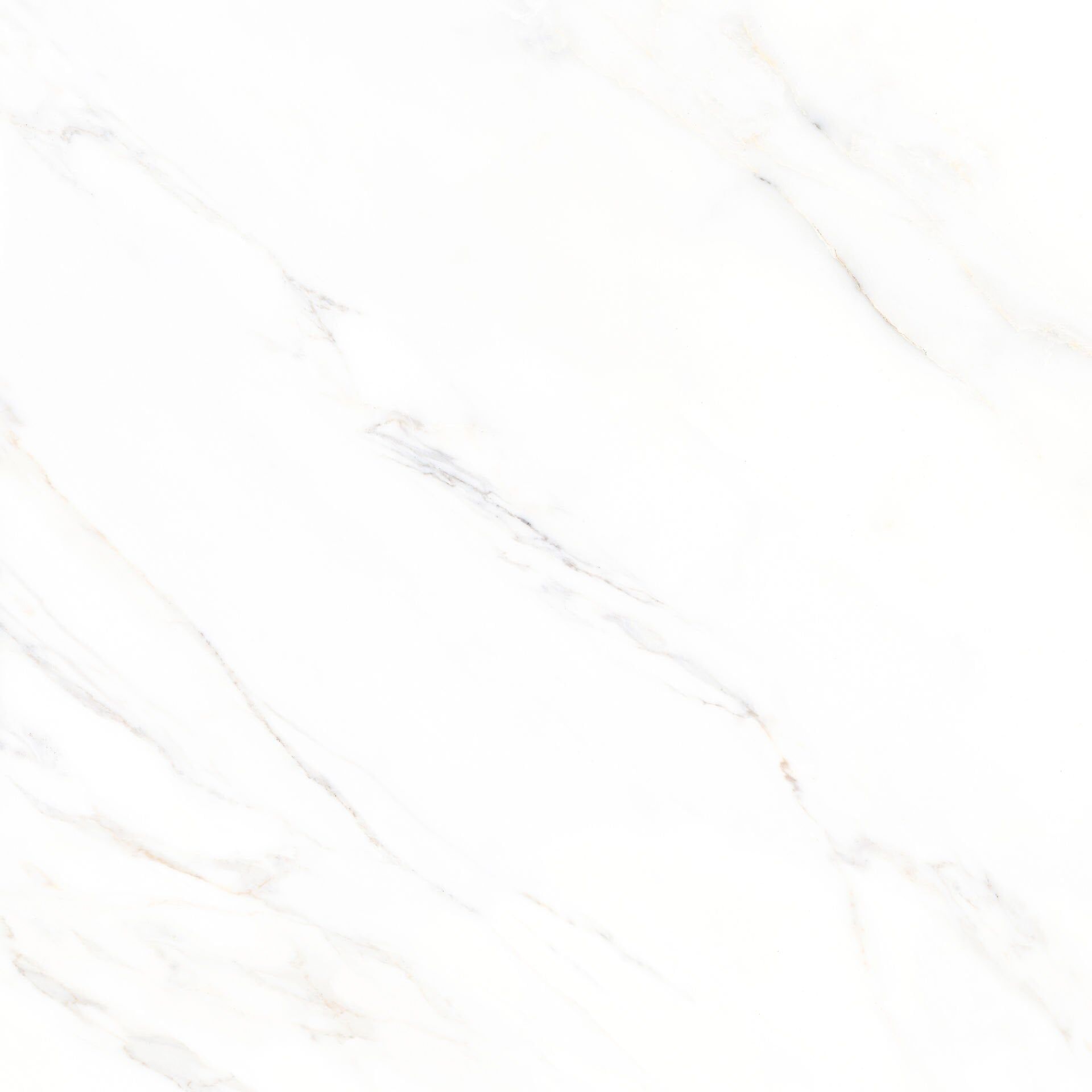 600X600 CALACATTA PARLAK BEYAZ K:8 - Numune